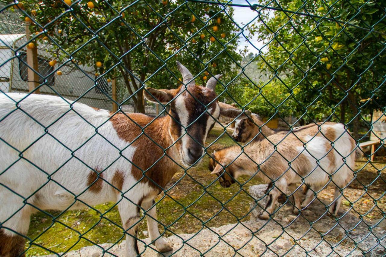Village Valle D'Oro Aparthotel San Menaio Dış mekan fotoğraf