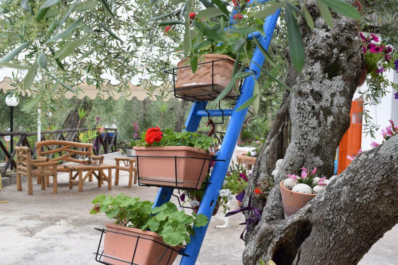 Village Valle D'Oro Aparthotel San Menaio Dış mekan fotoğraf