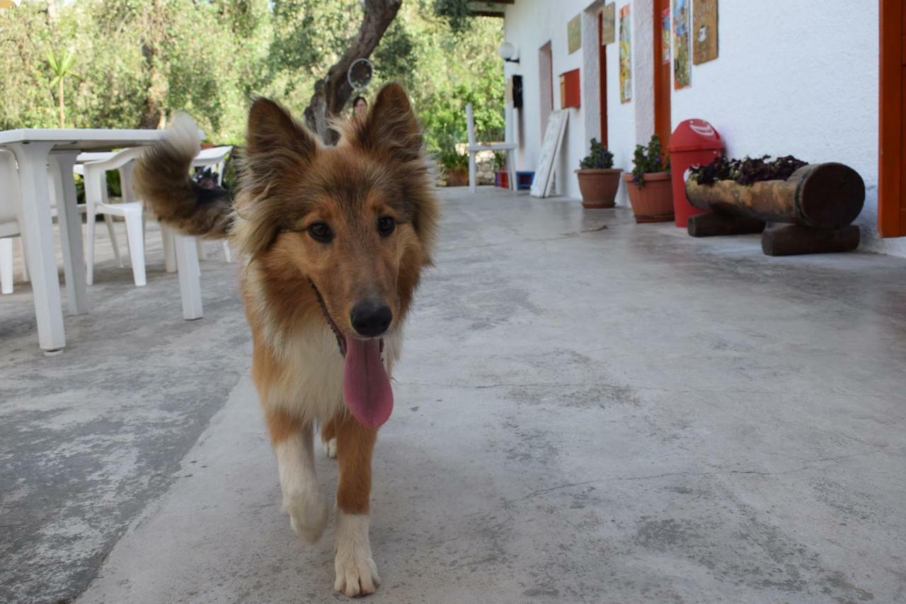Village Valle D'Oro Aparthotel San Menaio Dış mekan fotoğraf