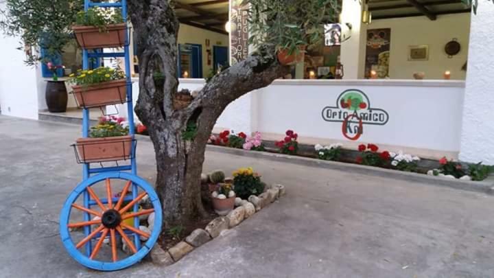 Village Valle D'Oro Aparthotel San Menaio Dış mekan fotoğraf